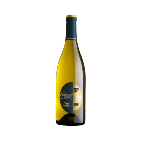 Chardonnay Campagnola IGT 2023